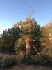 photo thumbnail #15