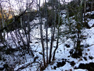 photo thumbnail #7