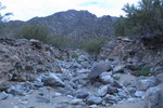 photo thumbnail #1