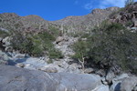 photo thumbnail #8