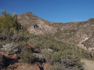photo thumbnail #5