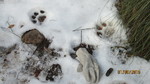 photo thumbnail #3