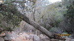 photo thumbnail #8