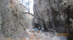 photo thumbnail #12