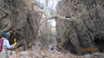 photo thumbnail #14