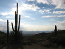 photo thumbnail #3