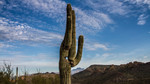 photo thumbnail #1
