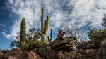 photo thumbnail #5