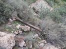 photo thumbnail #6