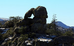 photo thumbnail #8