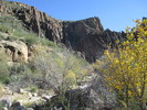 photo thumbnail #7