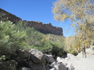 photo thumbnail #10