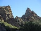 recent photo