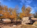 photo thumbnail #11