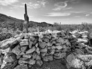 photo thumbnail #12