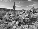 photo thumbnail #15