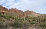 photo thumbnail #1