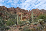 photo thumbnail #9
