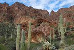 photo thumbnail #10