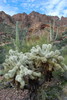 photo thumbnail #11