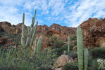 photo thumbnail #13