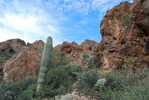 photo thumbnail #14