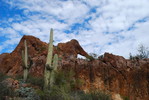photo thumbnail #15