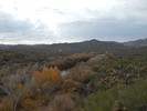 photo thumbnail #3