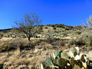 photo thumbnail #2