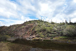 photo thumbnail #3