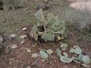 photo thumbnail #7