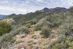 photo thumbnail #2