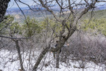 photo thumbnail #12