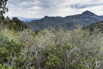 photo thumbnail #14