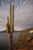 photo thumbnail #15