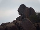 photo thumbnail #9