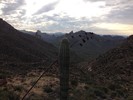 photo thumbnail #4