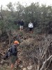 photo thumbnail #6