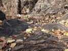 photo thumbnail #10