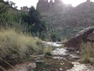 photo thumbnail #14