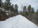 photo thumbnail #3