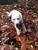 photo thumbnail #13