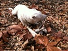 photo thumbnail #14