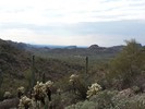 photo thumbnail #7