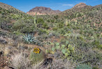 photo thumbnail #10