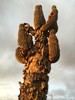 photo thumbnail #11