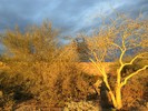 photo thumbnail #10