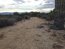 photo thumbnail #2