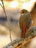 2014-12-29 :2: Silver Spur Meadow Trail :: outdoor_lover