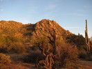 photo thumbnail #2